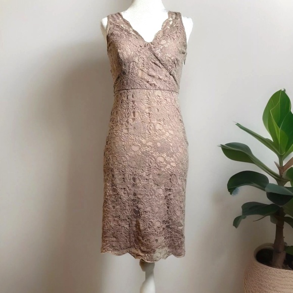 BCBGMAXAZRIA Lace Sheath Dress Sz 2 Taupe Nude Elegant Cocktail sexy - Picture 3 of 12